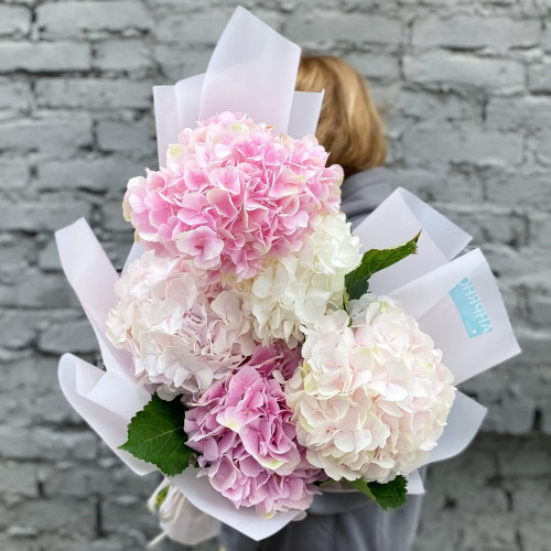 5 пастельных гортензий «Зефир»