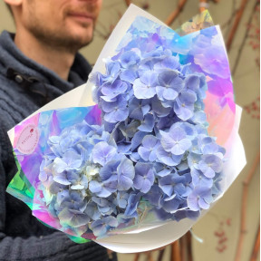 3 блакитні гортензії у букеті «Безтурботне небо»