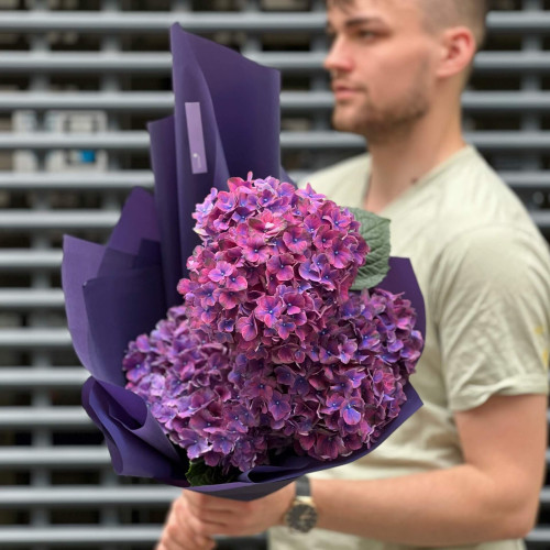 3 гортензії у букеті «Південна ніч»