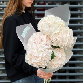 Букет из 5 нежных гортензий «Лёгкая пудра»