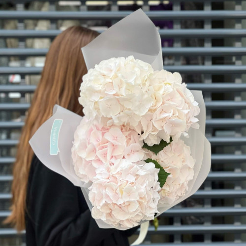 Букет из 5 нежных гортензий «Лёгкая пудра»