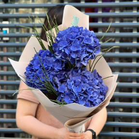 Bouquet of 3 hydrangeas «Blue eyes»