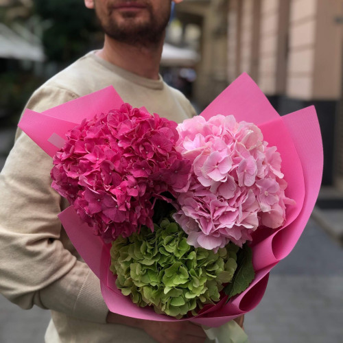 3 гортензии в букете «Спелый арбуз»