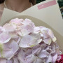 7 Голландських гортензій у букеті «Липнева мелодія»