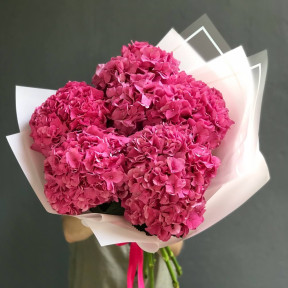 Букет з малинової гортензії