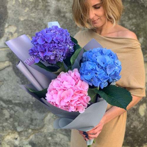 Букет гортензий «Небесное трио»