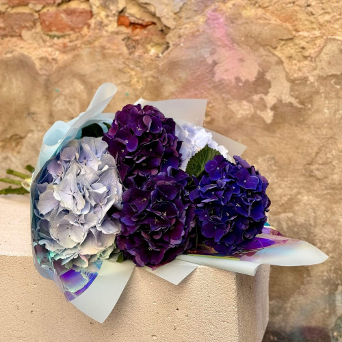5 hydrangeas in a bouquet «Wuthering Heights»