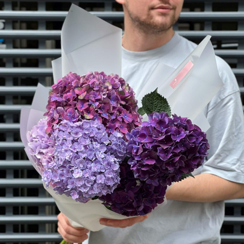 5 гортензий в букете «Черничные объятия»