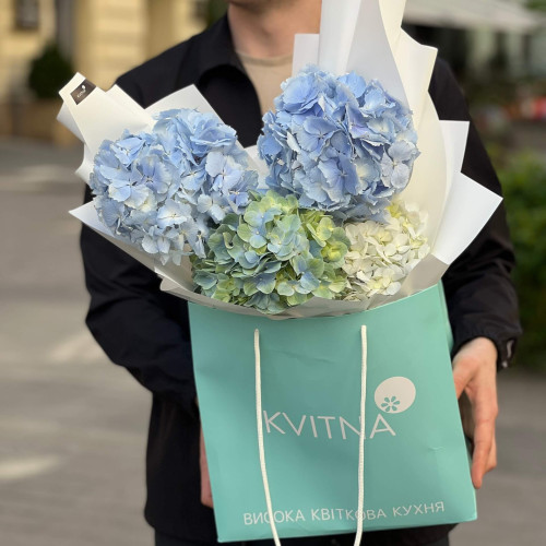 Микс из 5 гортензий сине-белых оттенков «Свободное небо»