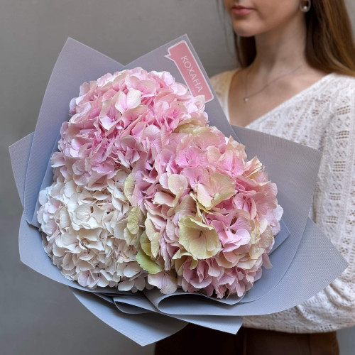 3 нежные гортензии в букете «Розовые воспоминания»