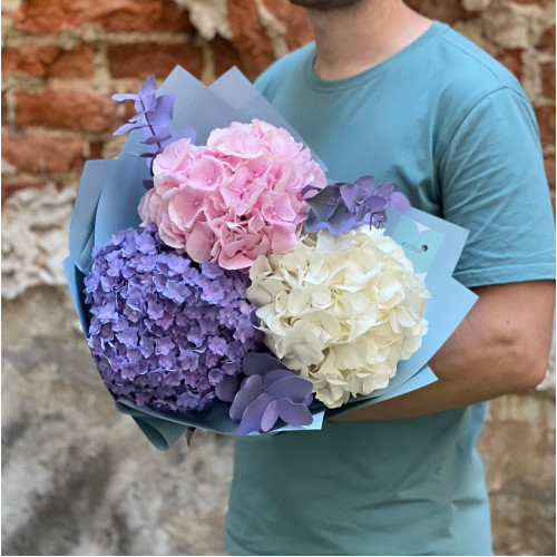 Flufft bouquet of 3 hydrangeas «Marshmallow Dreams»