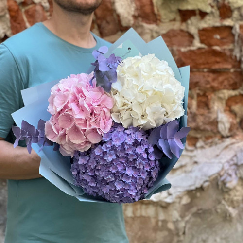 Flufft bouquet of 3 hydrangeas «Marshmallow Dreams»