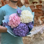 Flufft bouquet of 3 hydrangeas «Marshmallow Dreams»