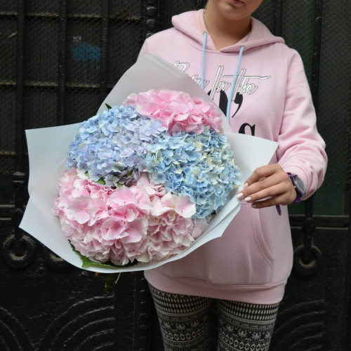 Ніжний букет з 5 гортензій