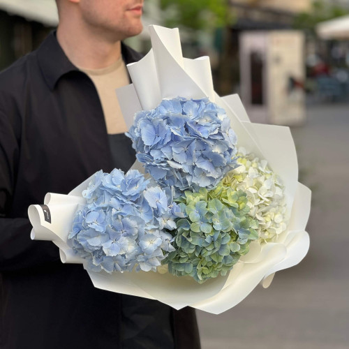 Микс из 5 гортензий сине-белых оттенков «Свободное небо»