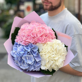 3 гортензии в букете «Трио нежности»