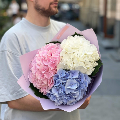 3 гортензии в букете «Трио нежности»