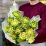 Букет из 19 эксклюзивных роз Kvitna Dragon «Зелёное облачко»