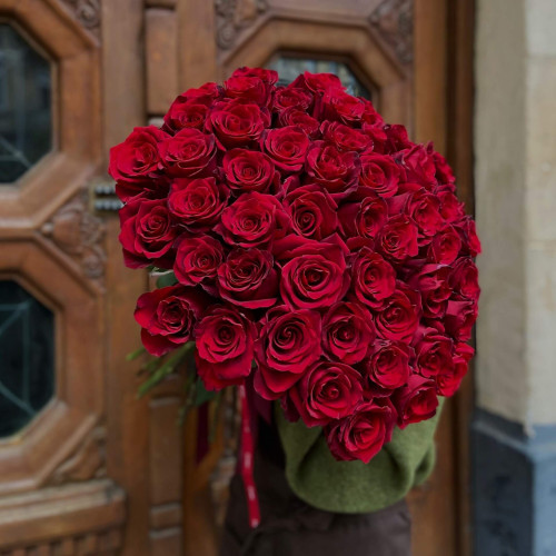 51 темно-червона троянда «Explorer»