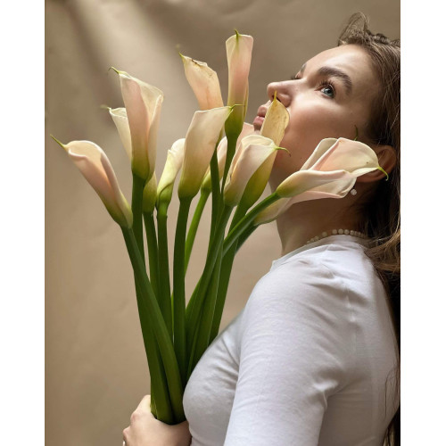 Premium salmon calla lilies «Morning kiss»