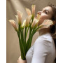 Premium salmon calla lilies «Morning kiss»