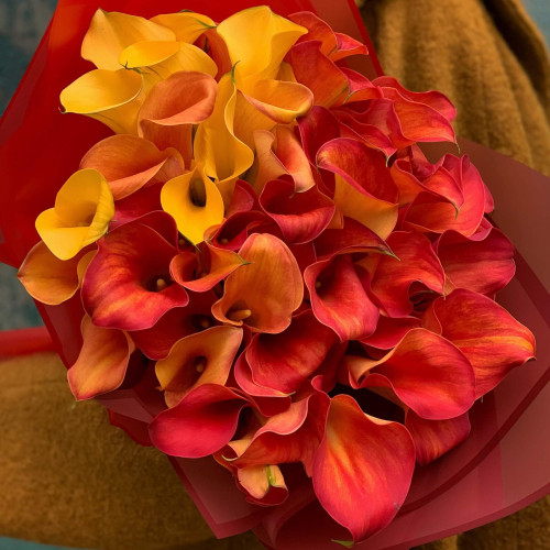 51 кала «Гаряче серце»