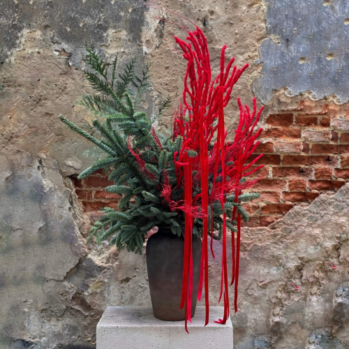 Інтер'єрна композиція із хвої з яскравими стрічками «Стильний акцент»