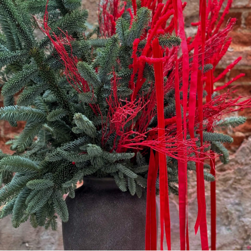 Інтер'єрна композиція із хвої з яскравими стрічками «Стильний акцент»