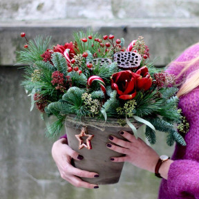 Різдвяна композиція