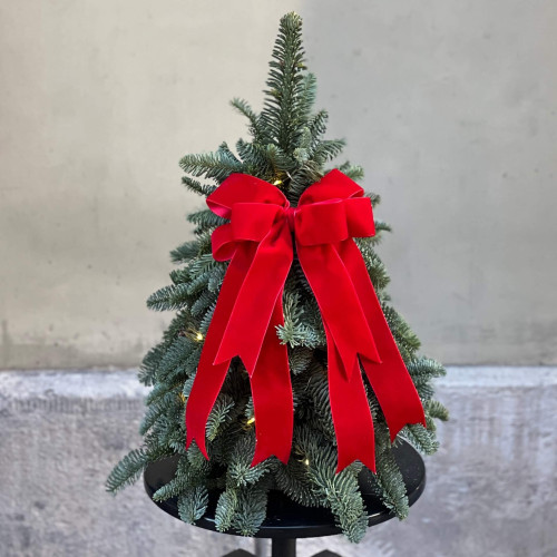 Festive Christmas tree with a garland «Dream Christmas»