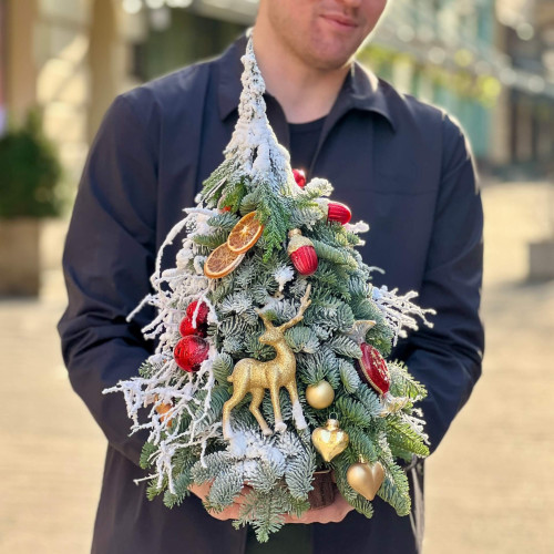 Різдвяна ялиночка «Диво опівночі»