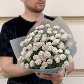 13 кущових хризантем у букеті «Молочний брауні»
