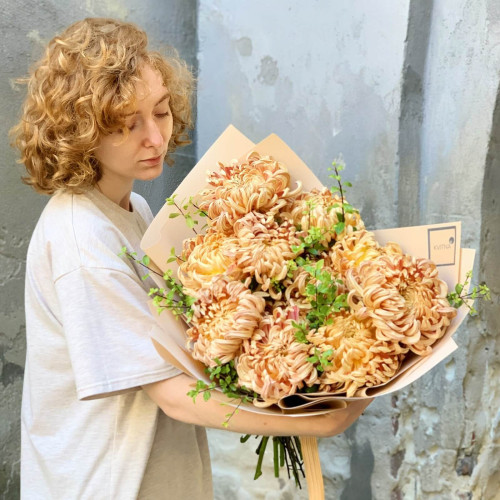 11 хризантем «Лате»