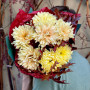 7 хризантем Avignon у букеті «Осіння Зірка»