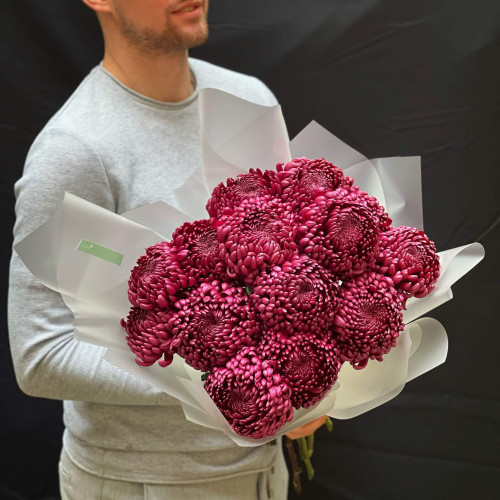13 chrysanthemums in a bouquet «Burgundy diamond»