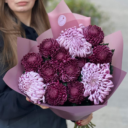 Букет из 13 роскошных хризантем Bigoudi и Vienna «Волшебная ночь»