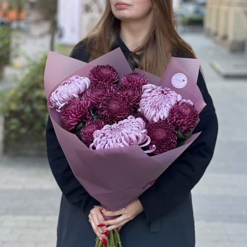 Букет из 13 роскошных хризантем Bigoudi и Vienna «Волшебная ночь»