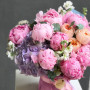 Композиція з піонів та гортензії «Міс Діор»