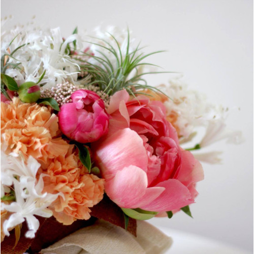 Композиція сонце