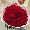 151 роза