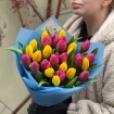 27 tulips