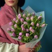 29 tulips