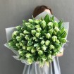 49 tulips
