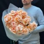 Троянди Shimmer Троянди Shimmer