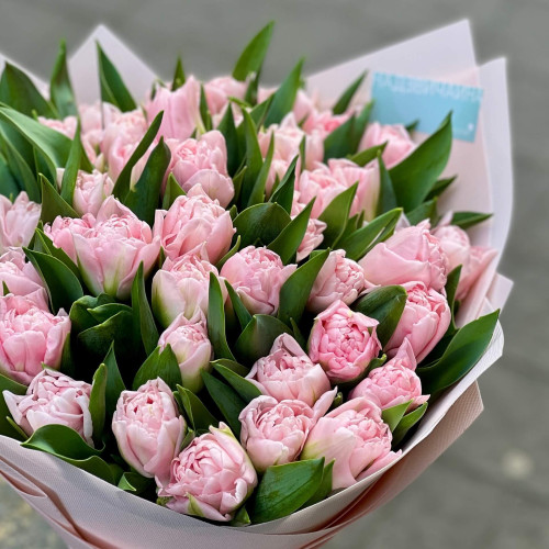 51 преміальний тюльпан сорту Dreamer у букеті «Закохана мрія»