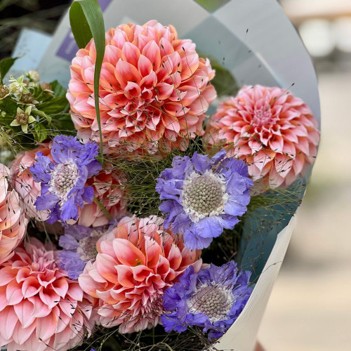 Яскравий букет «Жоржинова прохолода»