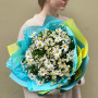 Bouquet «Chamomile Love»