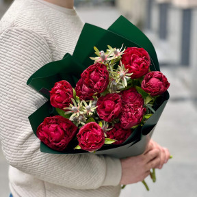 11 peonies in a bouquet «Ruby Atlas»