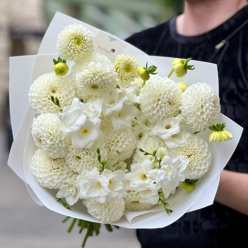 Світлий букет з жоржинами та фрезією «Ванільний джелато»