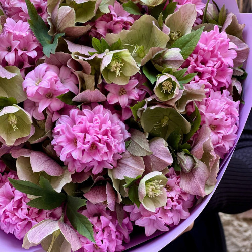 Pink and green bouquet of fragrant hyacinths and helleborus «Strawberry-Lime»